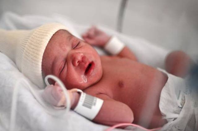 <p>A new-born baby lies in an incubator (stock image) </p>
