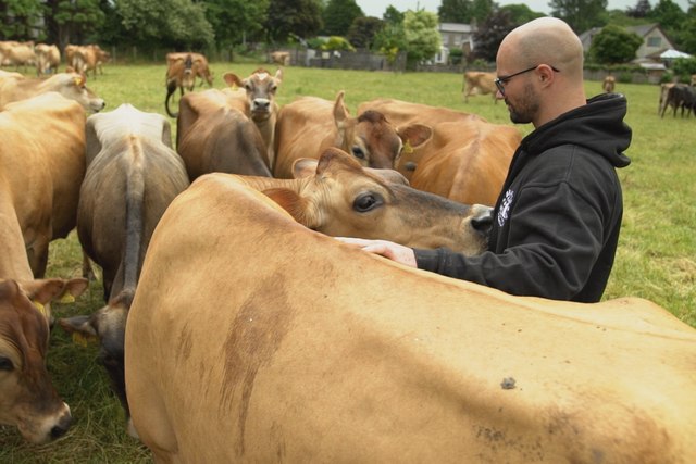 <p>Ed Towers, a dairy farmer at Brades Farm in Lancashire</p>