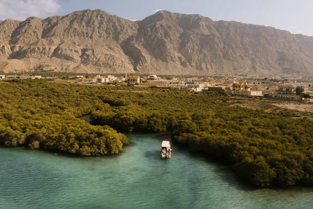 <p>Discovering the world’s first Arabian pearl farm in the mangroves of Al Rams</p>