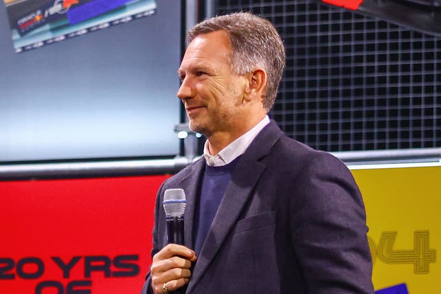 <p>Christian Horner, team boss for Red Bull, is fighting for his job </p>