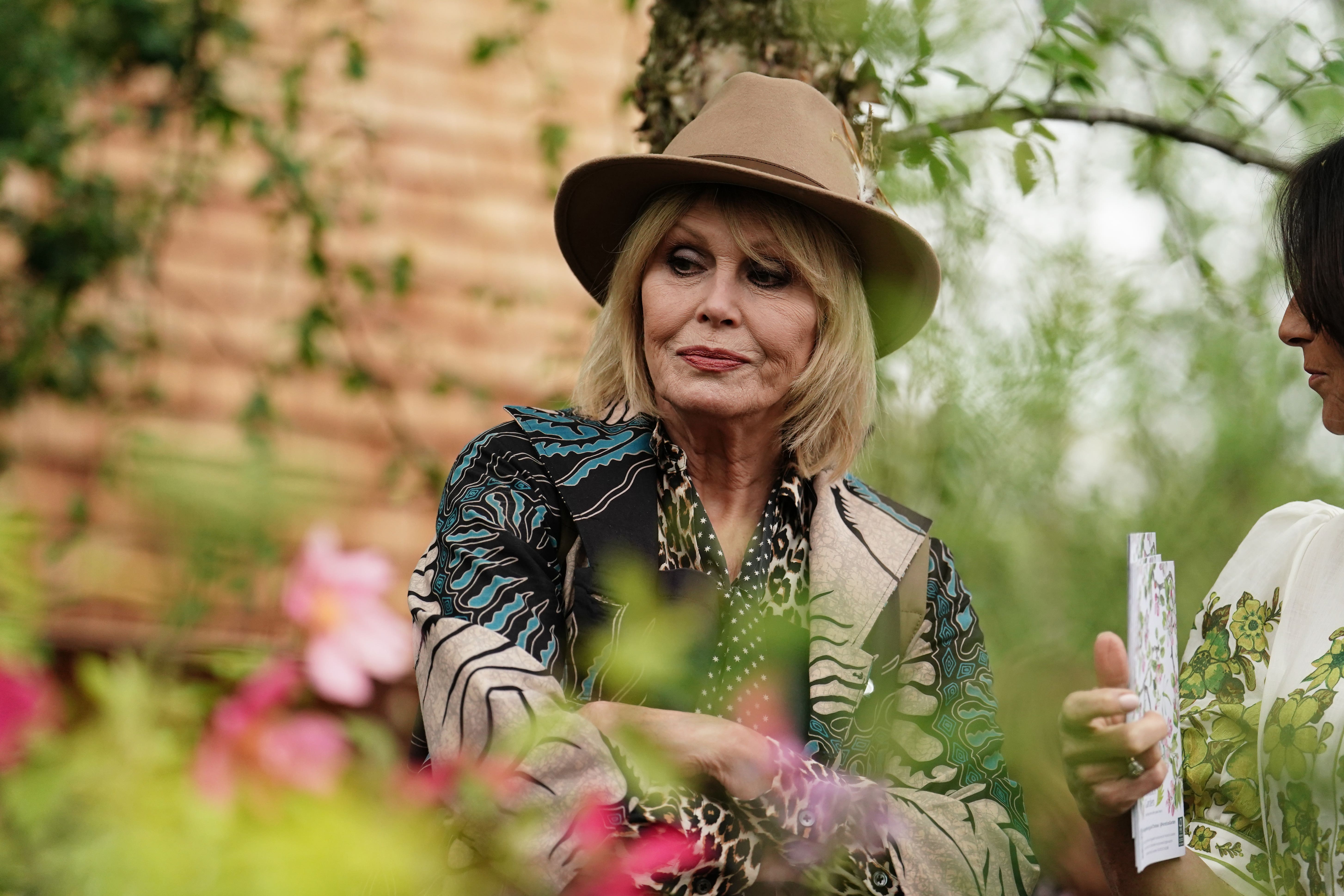 Joanna Lumley has always been interested in fashion