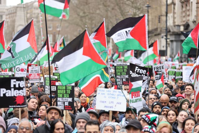 People during a pro-Palestine march in central London, organised by the Palestine Solidarity Campaign, to call for a ceasefire in the conflict between Israel and Hamas (Belinda Jiao/PA)