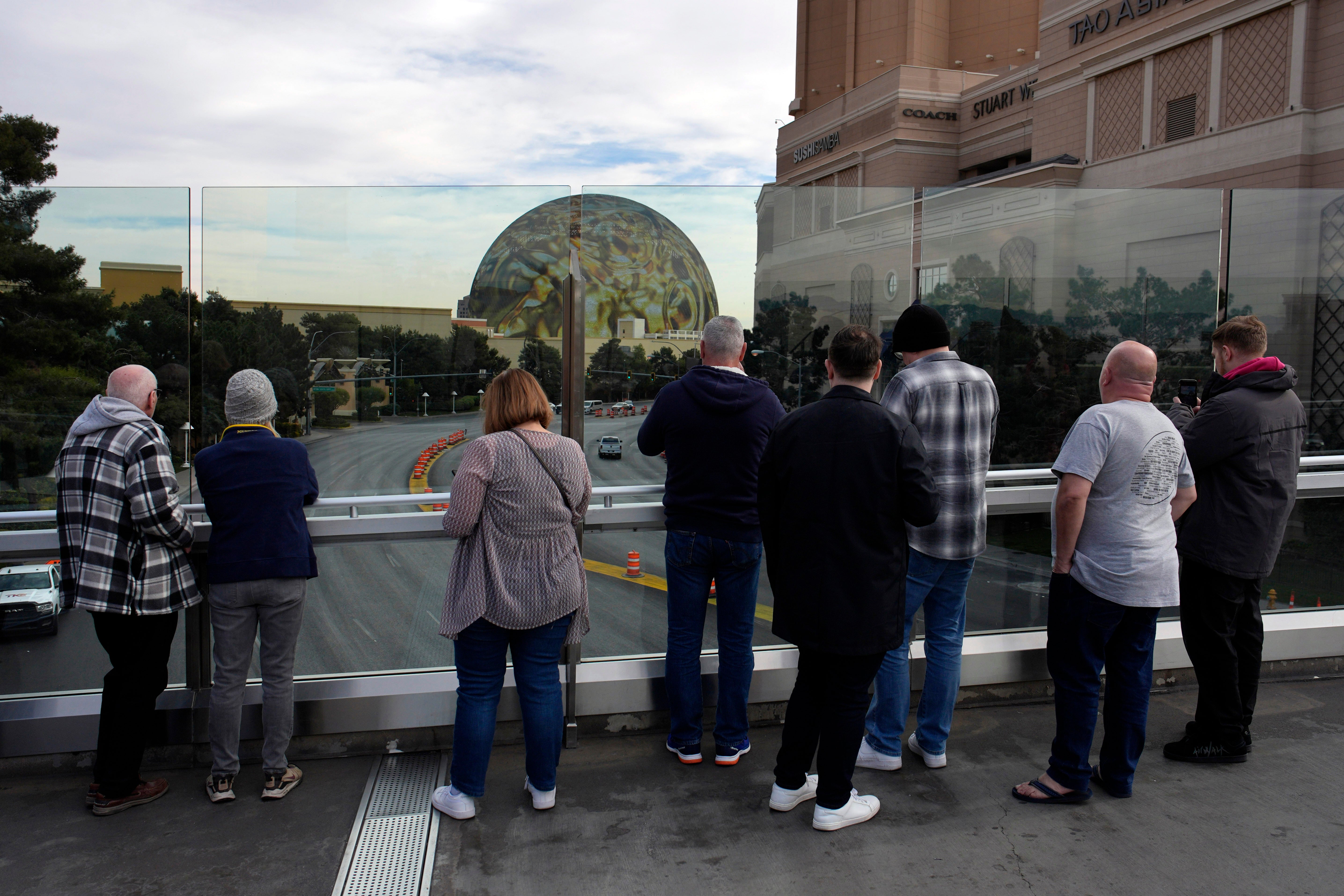 Strip-Pedestrian Bridges