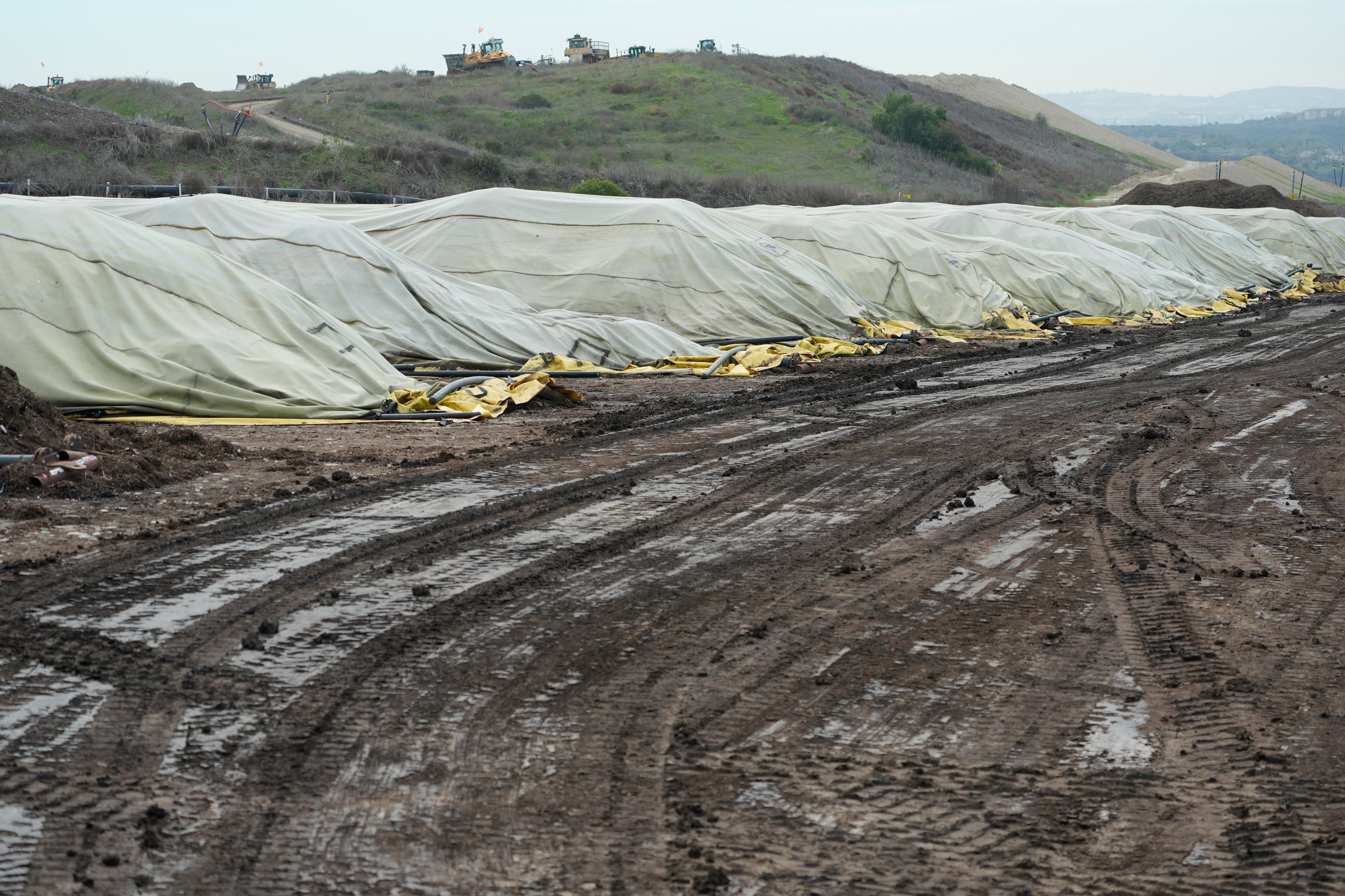 California Food Waste