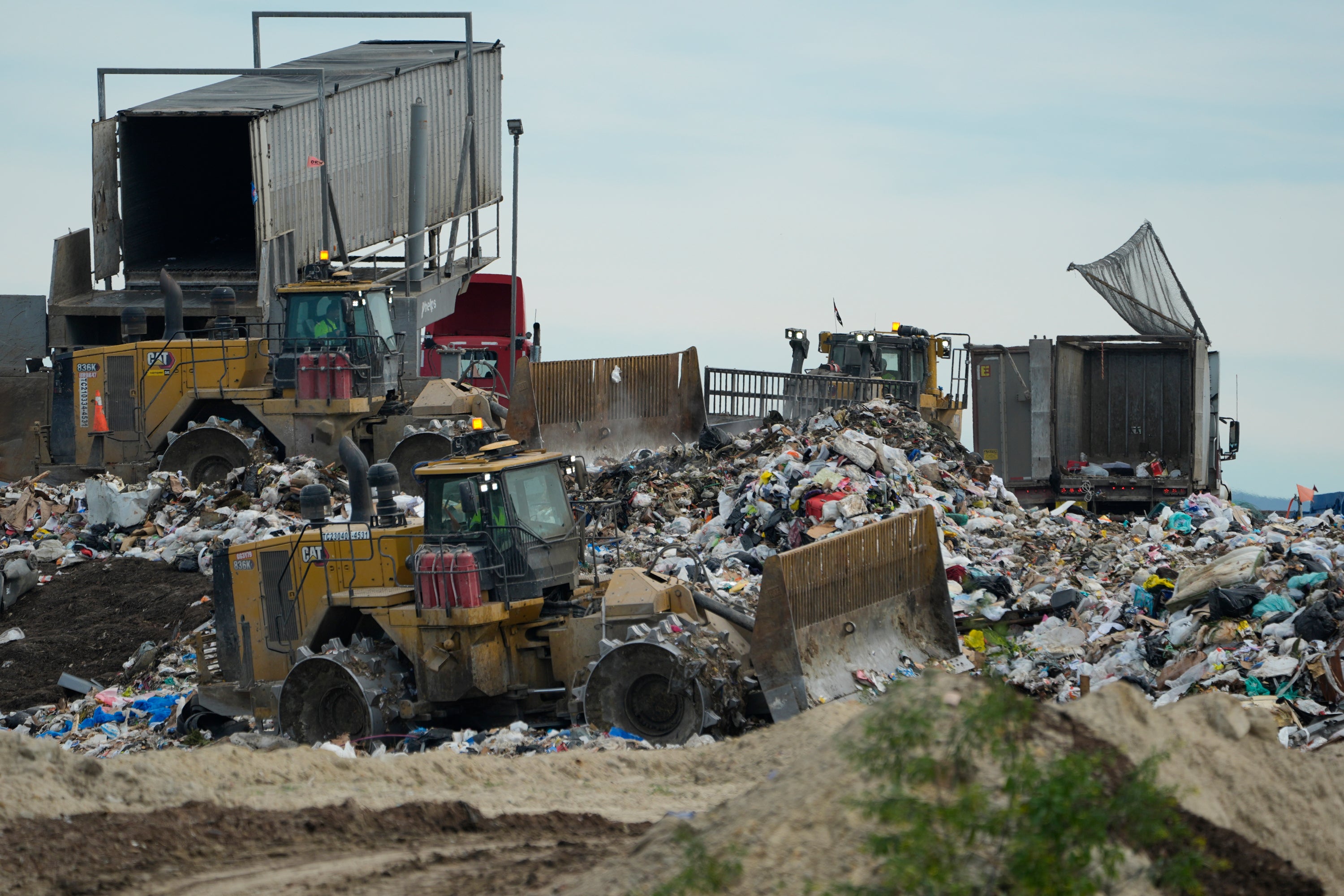 California Food Waste