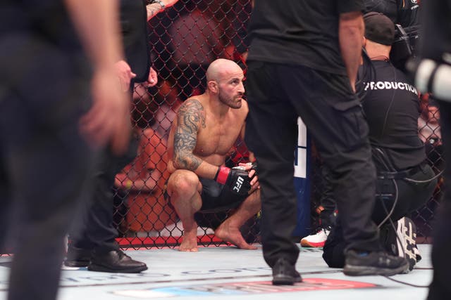<p>Alexander Volkanovski, moments after his knockout by Ilia Topuria </p>