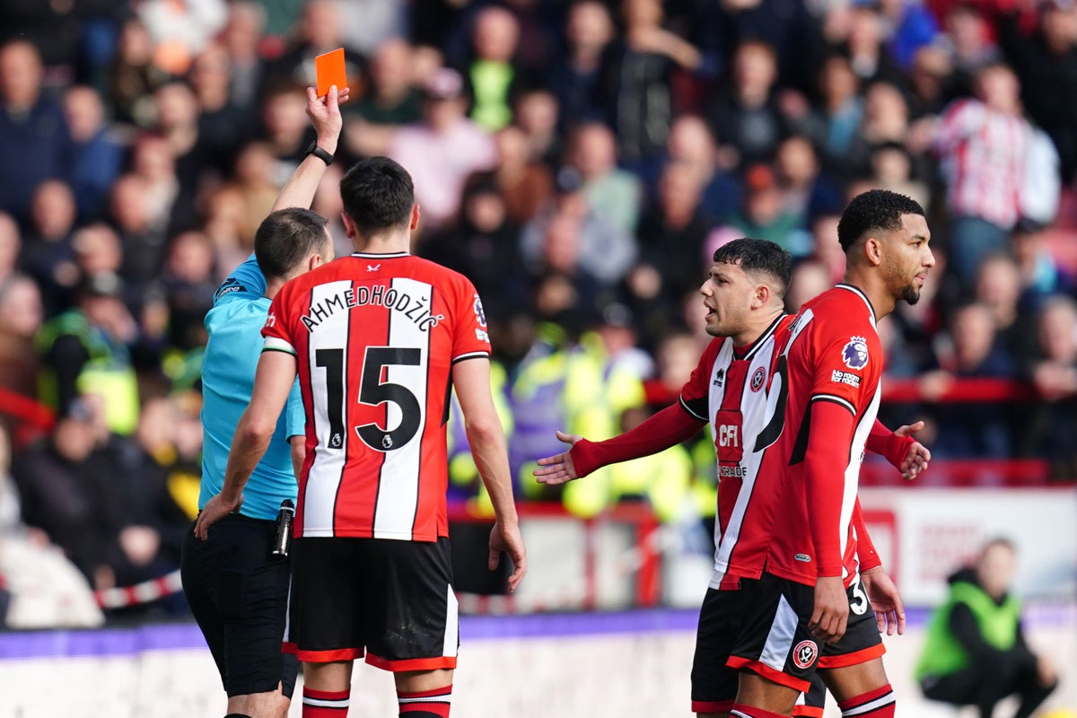 Chris Wilder says Mason Holgate has apologised to teammates for red card