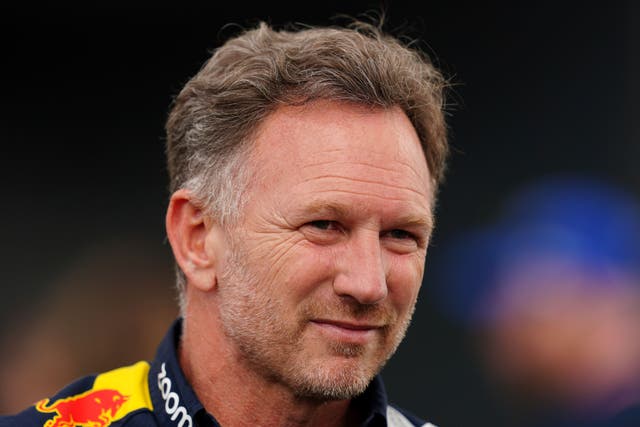 Red Bull team principal Christian Horner is under investigation (David Davies/PA)