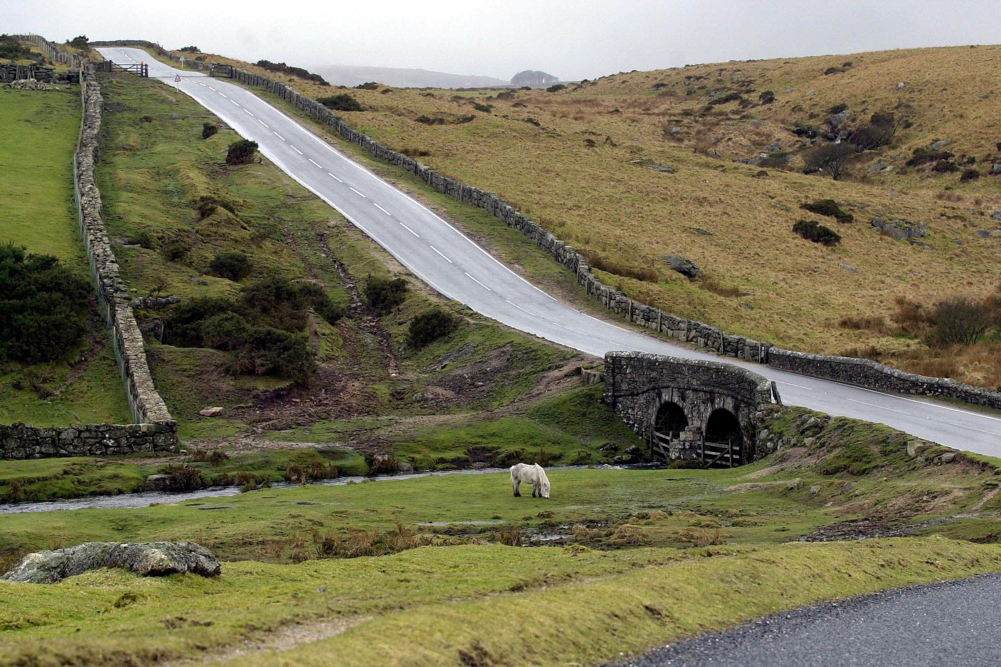 Campaigners will descend on Dartmoor (PA)