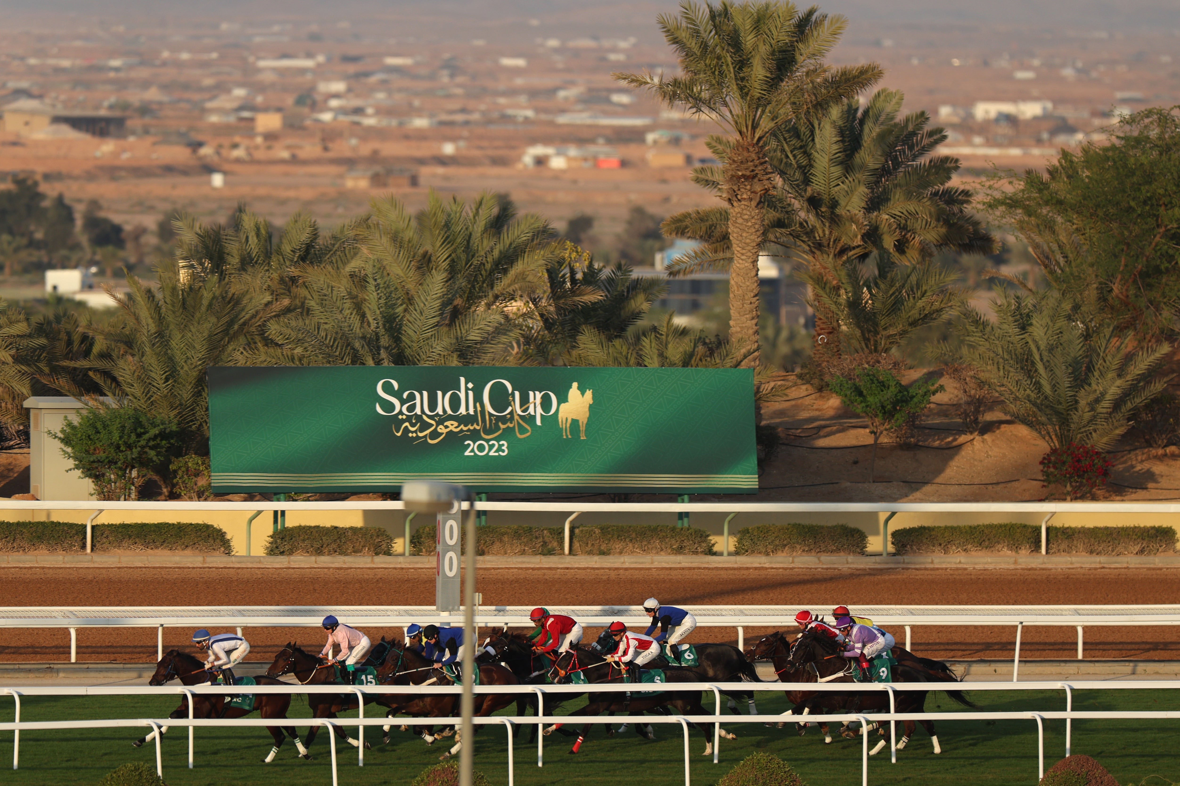 The Saudi Cup is held at the King Abdulaziz Racetrack in Riyadh