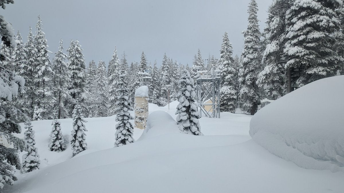 Ten inches of snow fell in the central Sierra Nevada Mountains