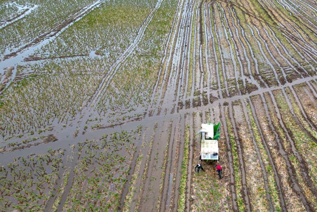 Farming conference to hear from PM Rishi Sunak (Joe Giddens/PA)