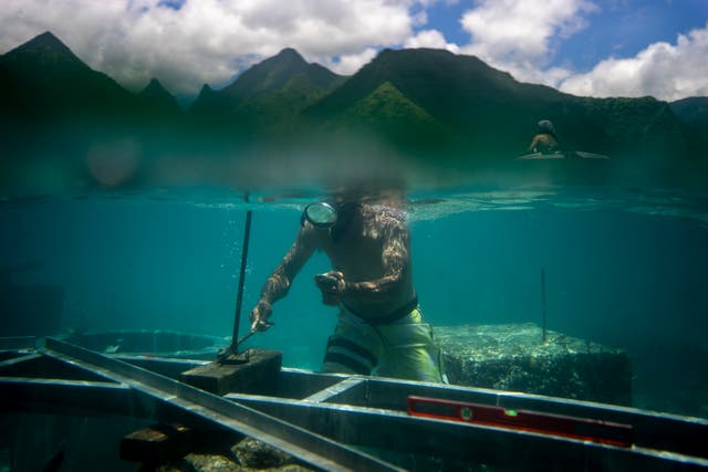 APTOPIX Olympics Tahiti Surfing Environment