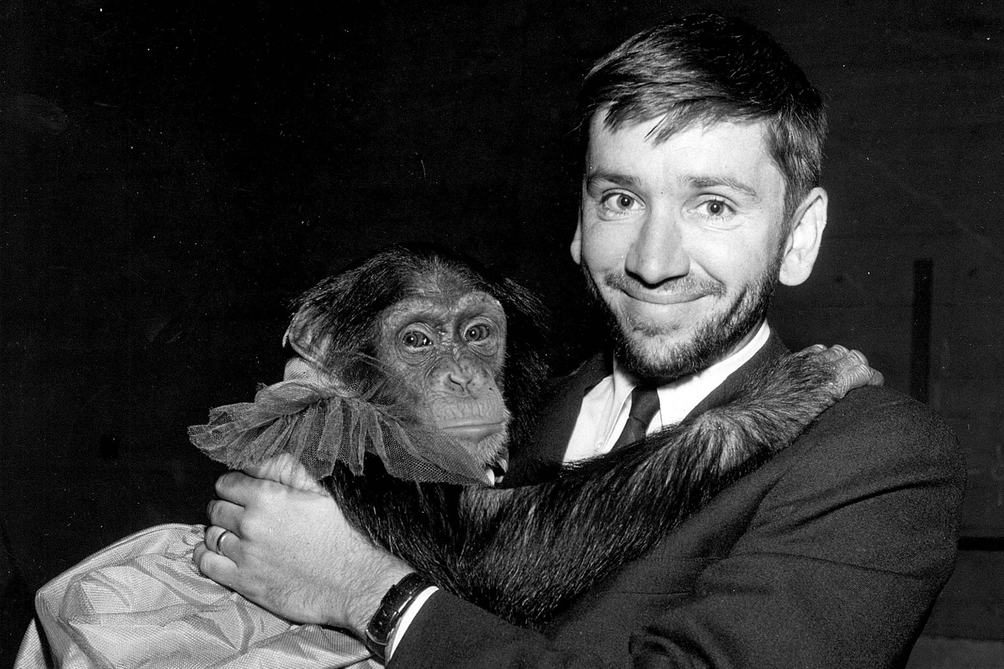 All dressed up: ‘Gilligan’s Island’ star Bob Denver poses with a presumably famous monkey at a Sixties edition of the Patsys