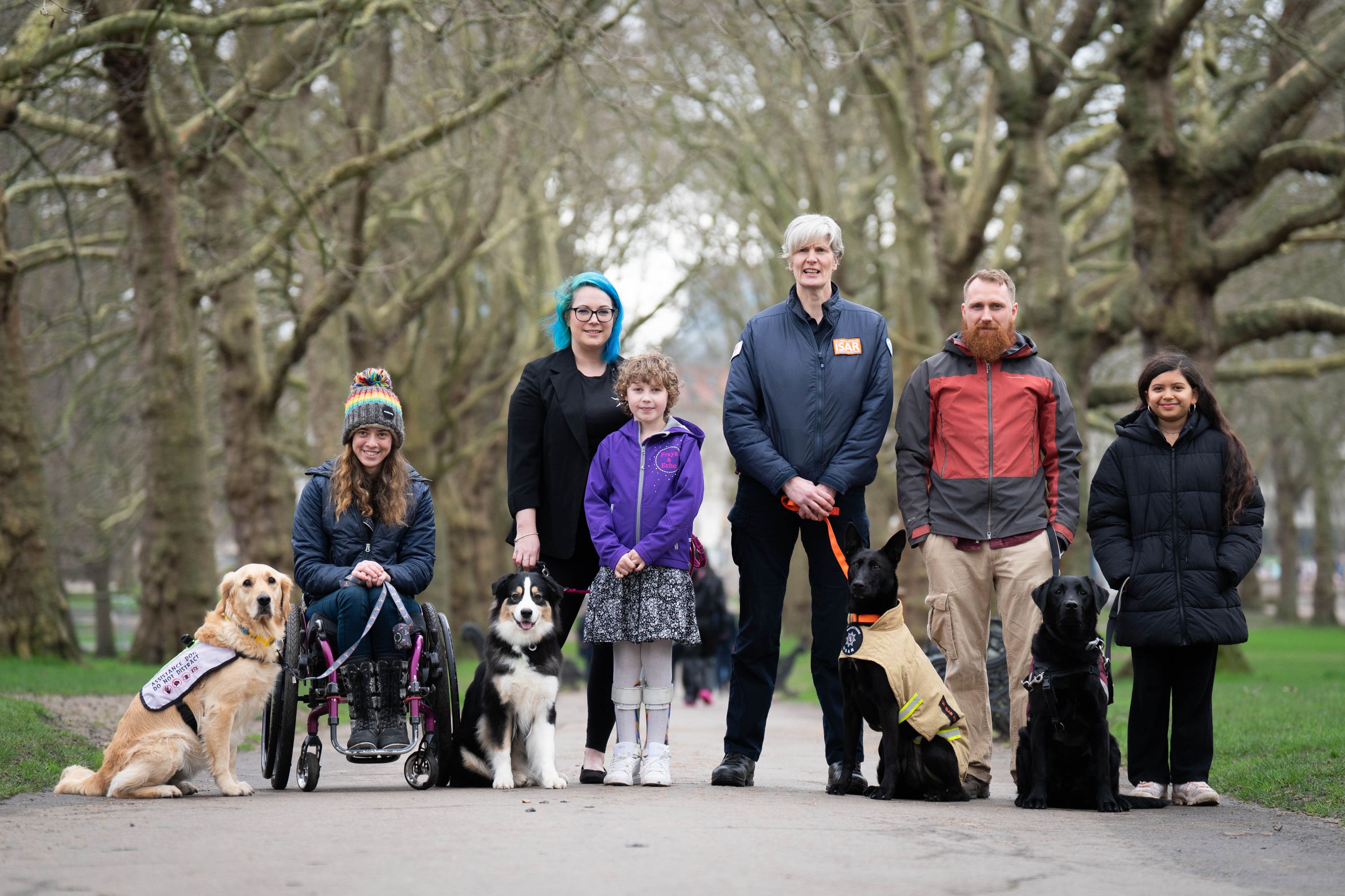 The finalists of the The Kennel Club’s Hero Dog Award in Green Park, London (James Manning/PA)