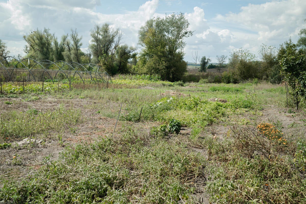 Tetiana’s land is still contaminated, but she was selected to receive assistance for surveying, clearing the land and restarting production