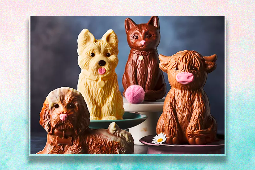 From cats to cows, there’s a chocolate treat to delight all sorts of animal-lovers at M&S