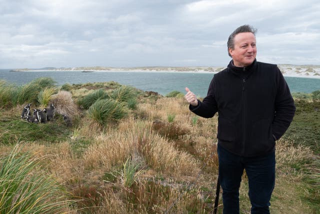 <p>Foreign secretary David Cameron visits Gypsy Cove on the Falkland Islands earlier this year </p>