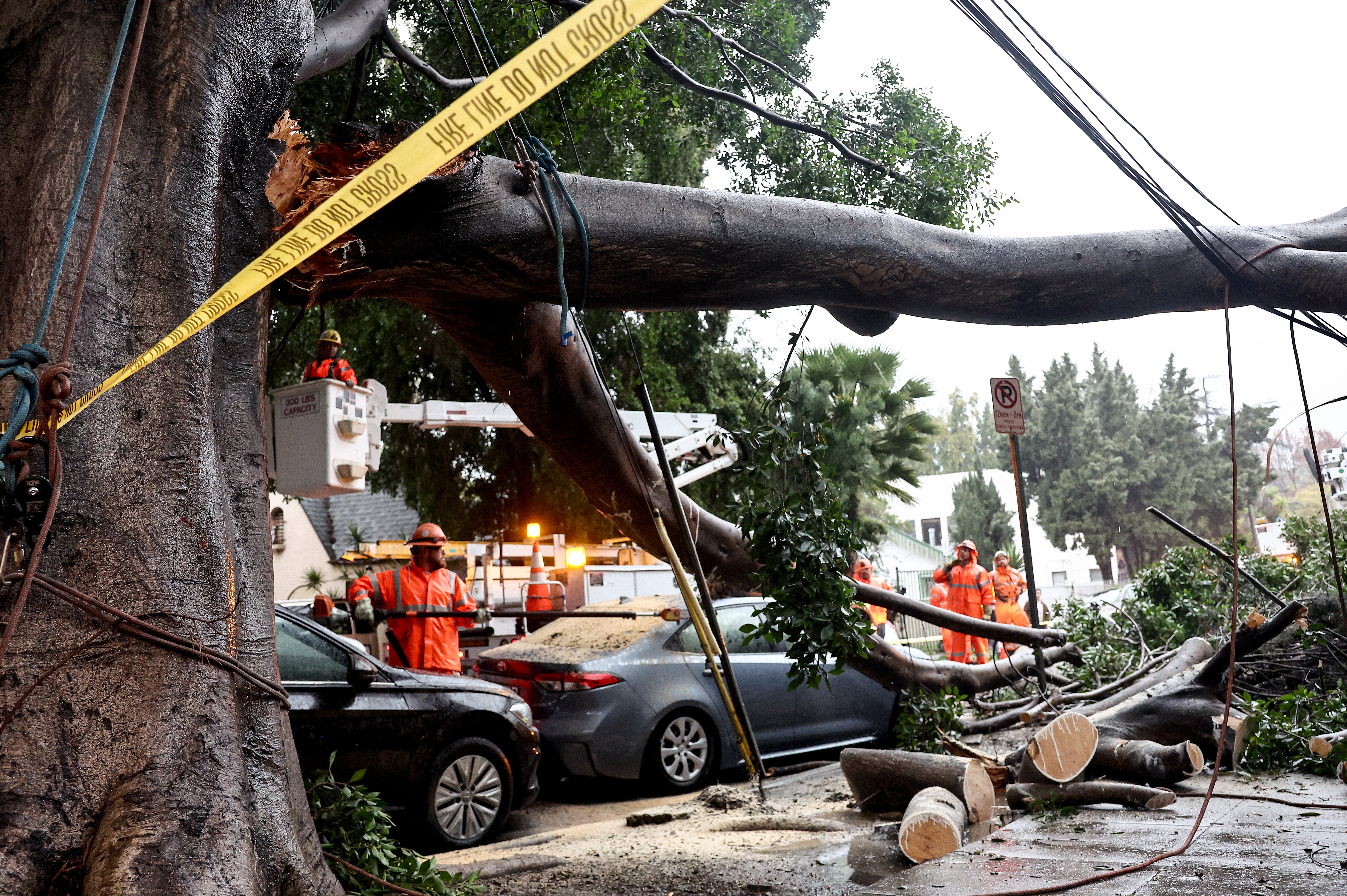 High winds and heavy rain caused trees like this one to fall throughout California, causing damage to property and power lines