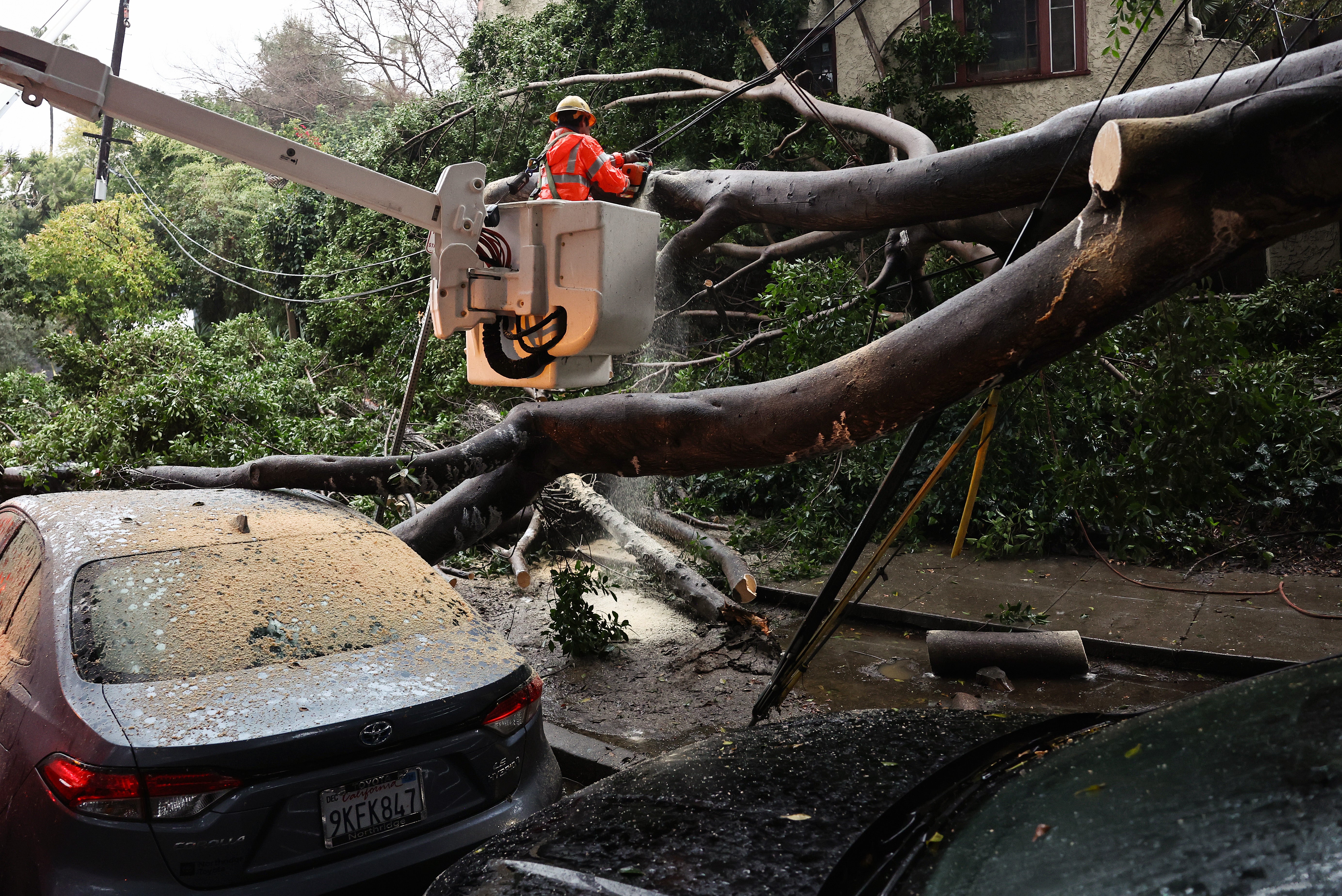 Officials clean up a large tree that fell in a Los Angeles neighbourhood, damaging vehicles and power lines on 19 February 2024