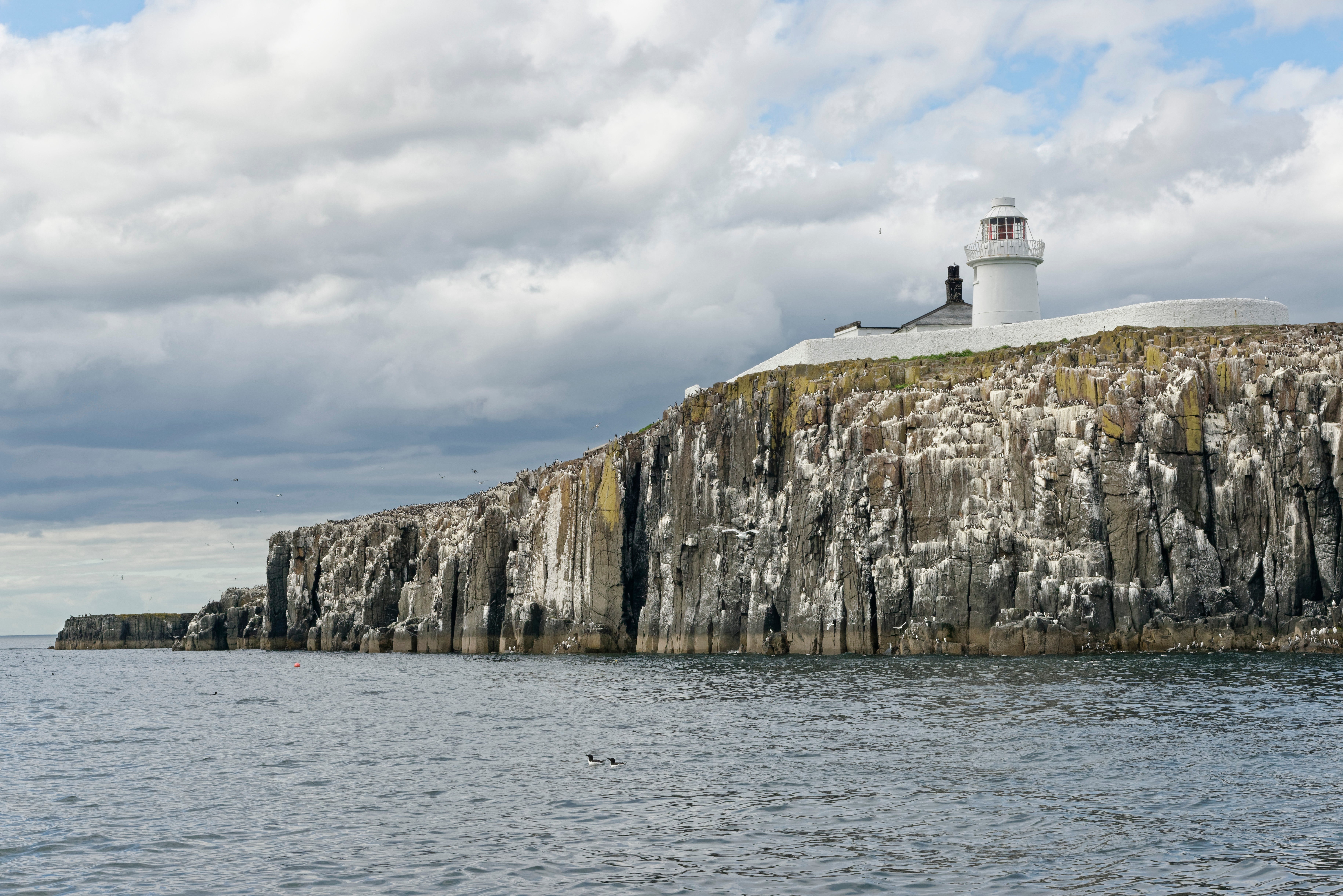 Farne Lighthouse is one of only a few buildings on Inner Farne, which will reopen to tourists in March