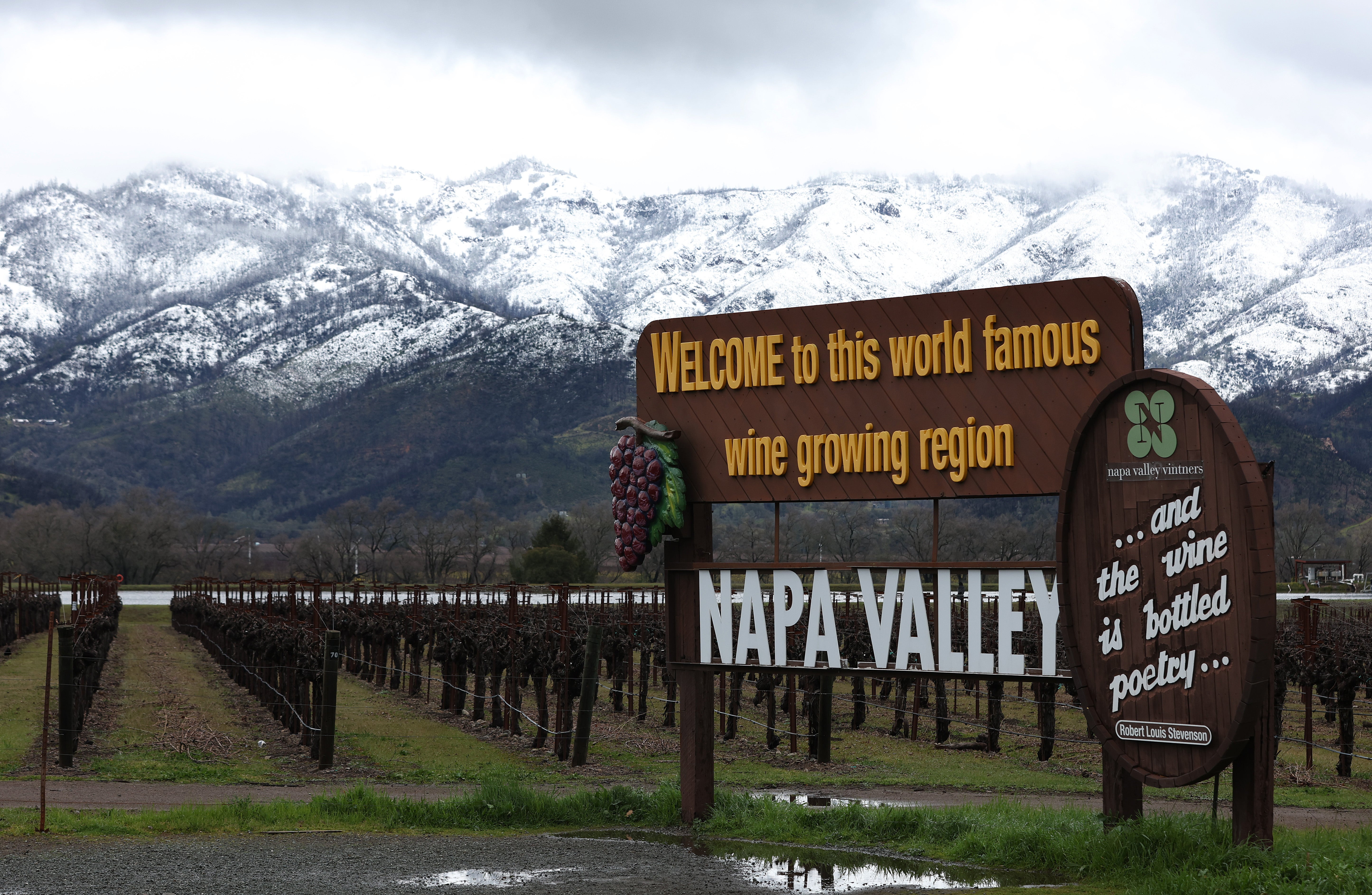 <p>Snow covers the hills behind a vineyard on February 24, 2023 in Calistoga, California. </p>
