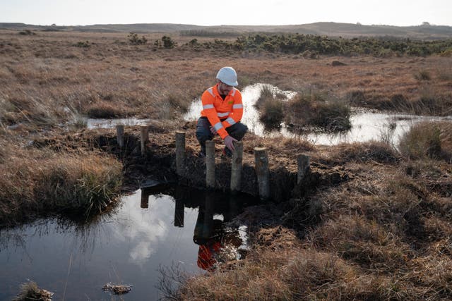 Leaky dams being built across the restoration site in Purbeck to block old ditches (Sophie Bolesworth/National Trust Images/PA)