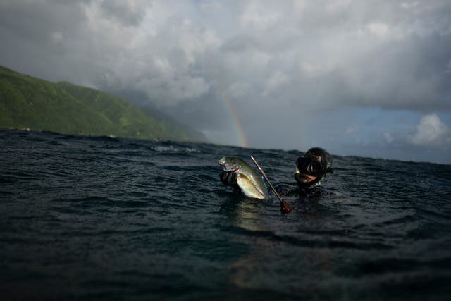 Surfing Tahiti Photo Gallery