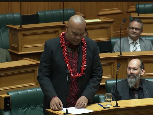 <p>Efeso Collins giving his maiden speech a week before death. Screengrab</p>