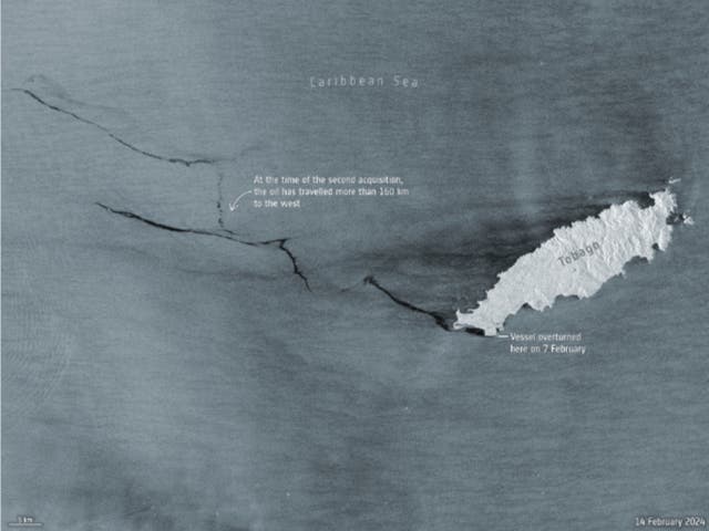 <p>Satellite image from European Space Agency shows black slick of oil visible from space</p>