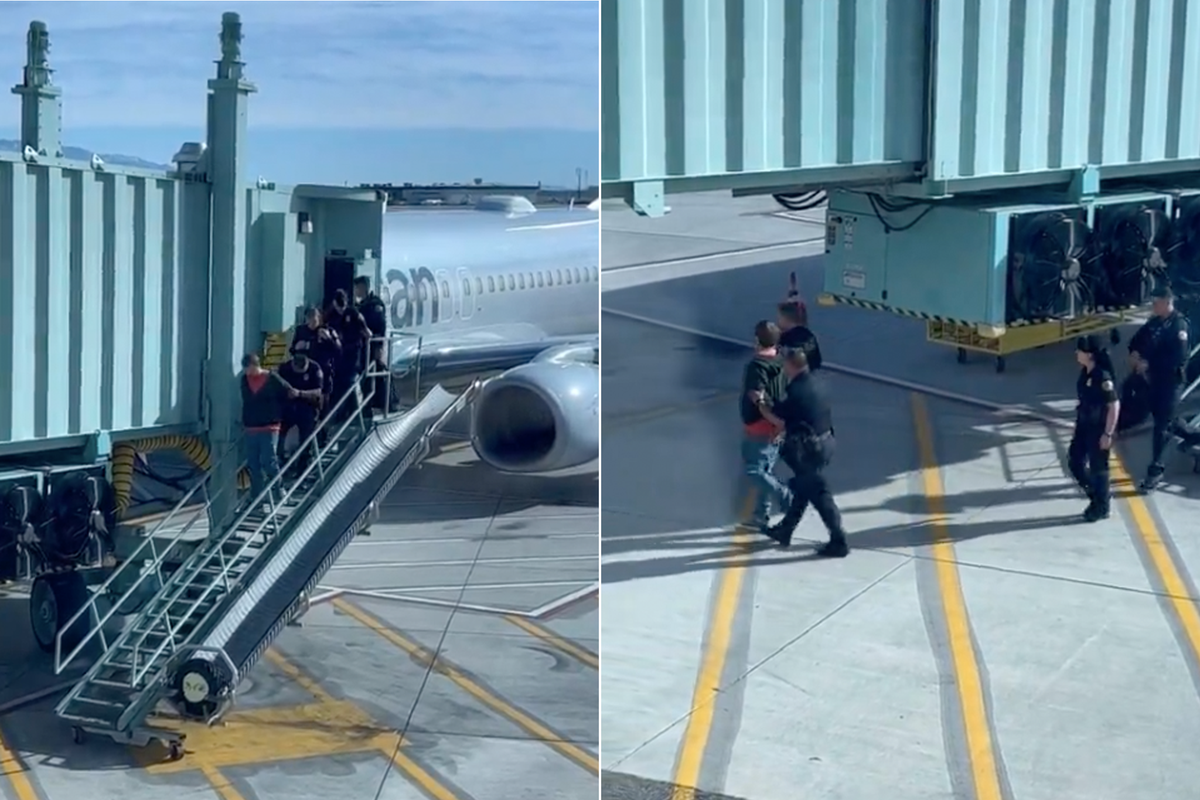 American Airlines passengers tackle and restrain man for trying to open plane door mid-flight