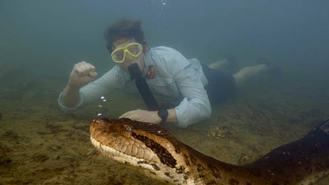 <p>Watch: World’s biggest anaconda snake measuring 26ft-long found in Amazon.</p>