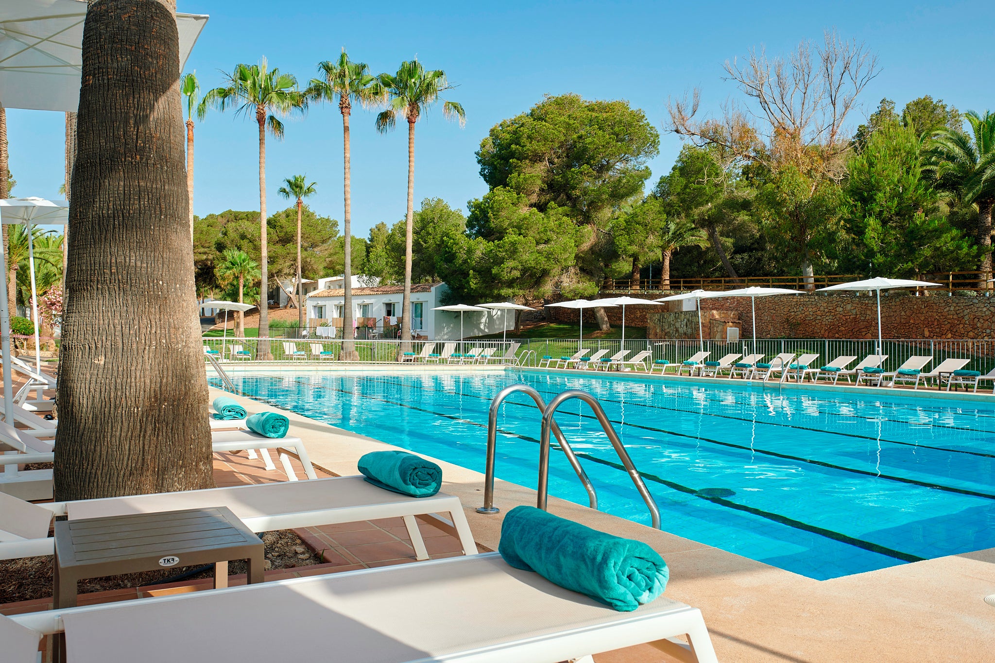 Enjoy the stunning palm-lined pool at Iberostar Cala Domingos resort