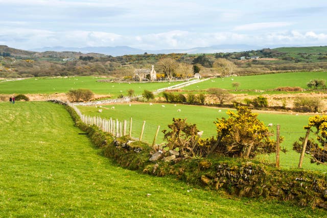 The Sustainable Farming Scheme is to replace farming subsidies after Brexit, but has prompted protests by farmers in Wales (Alamy/PA)