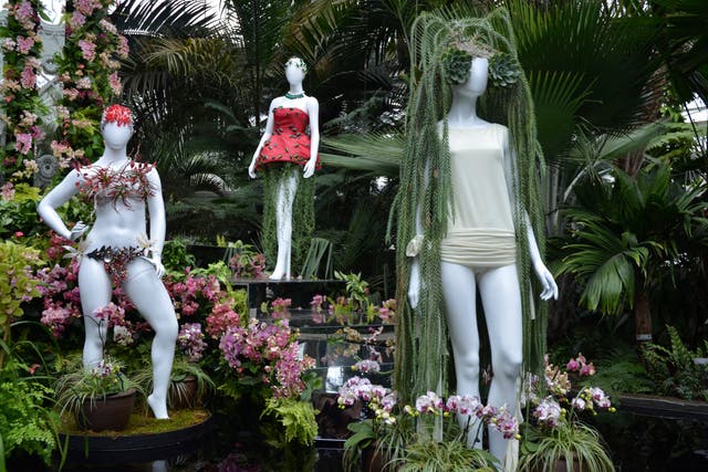 Orchid Show Fashion Photo Gallery