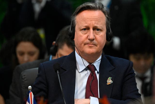 <p>David Cameron at the G20 foreign ministers meeting in Rio de Janeiro, Brazil, on 21 February 2024 </p>