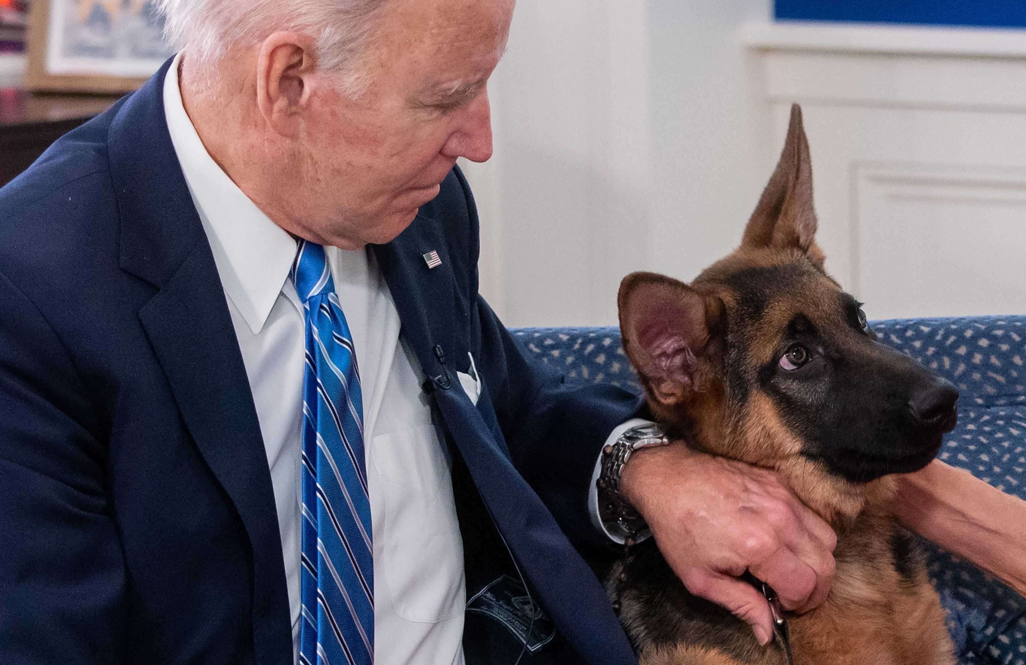 US President Joe Biden pets his dog Commander in 2021