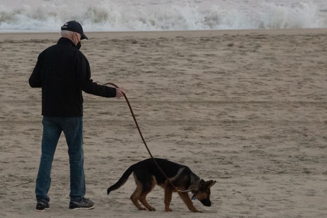 <p>President Joe Biden walks his dog Commander on the beach in Rehoboth Beach, Delaware, December 28, 2021. A new report says the president saw his dog attack Secret Service Agents. </p>