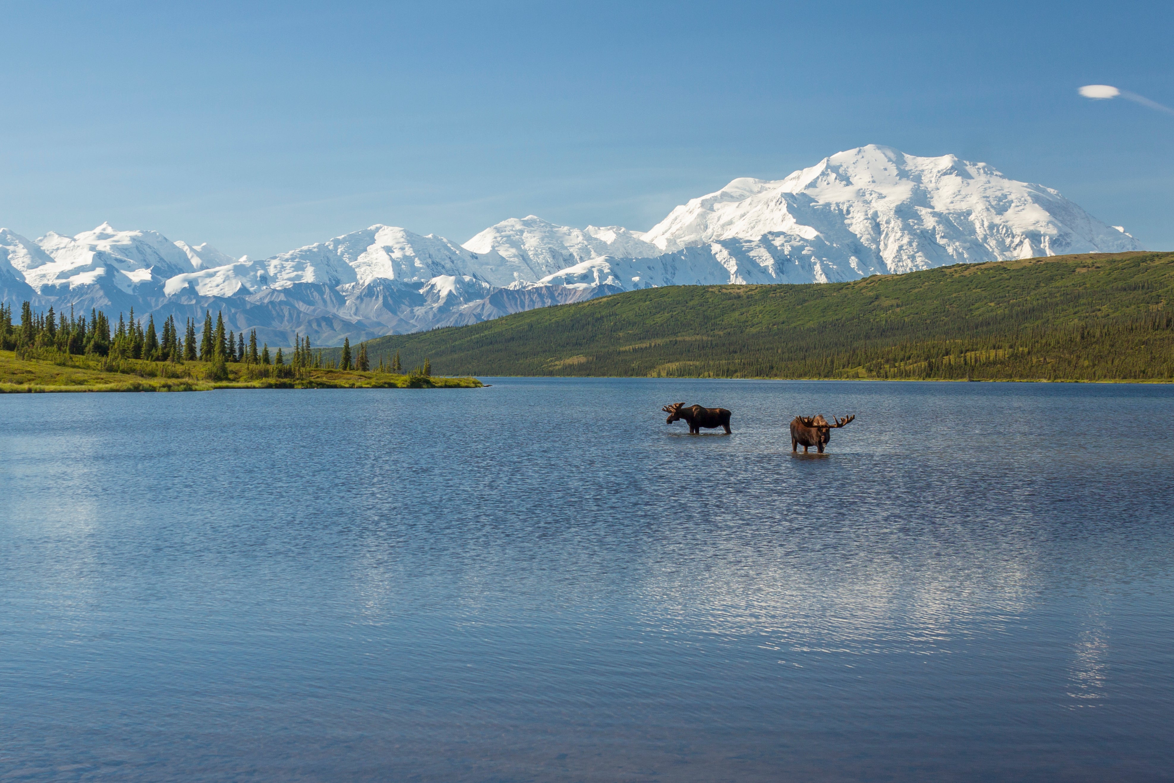 Denali National Park takes its name from its highest peak