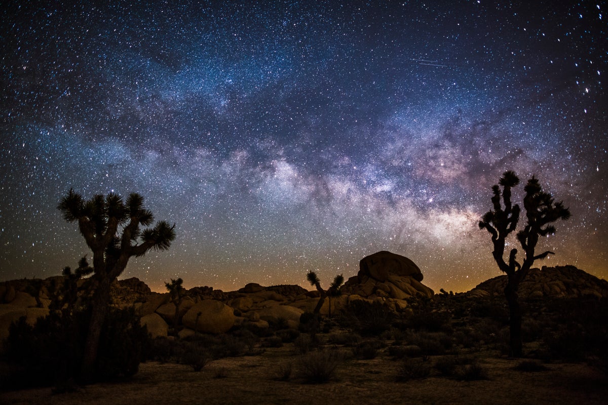 https://static.independent.co.uk/2024/02/22/11/iStock-913059360.jpg?width=1200&height=800&crop=1200:800