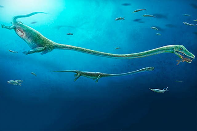 This Dinosaur Had a 50-Foot-Long Neck, Scientists Say, Smart News