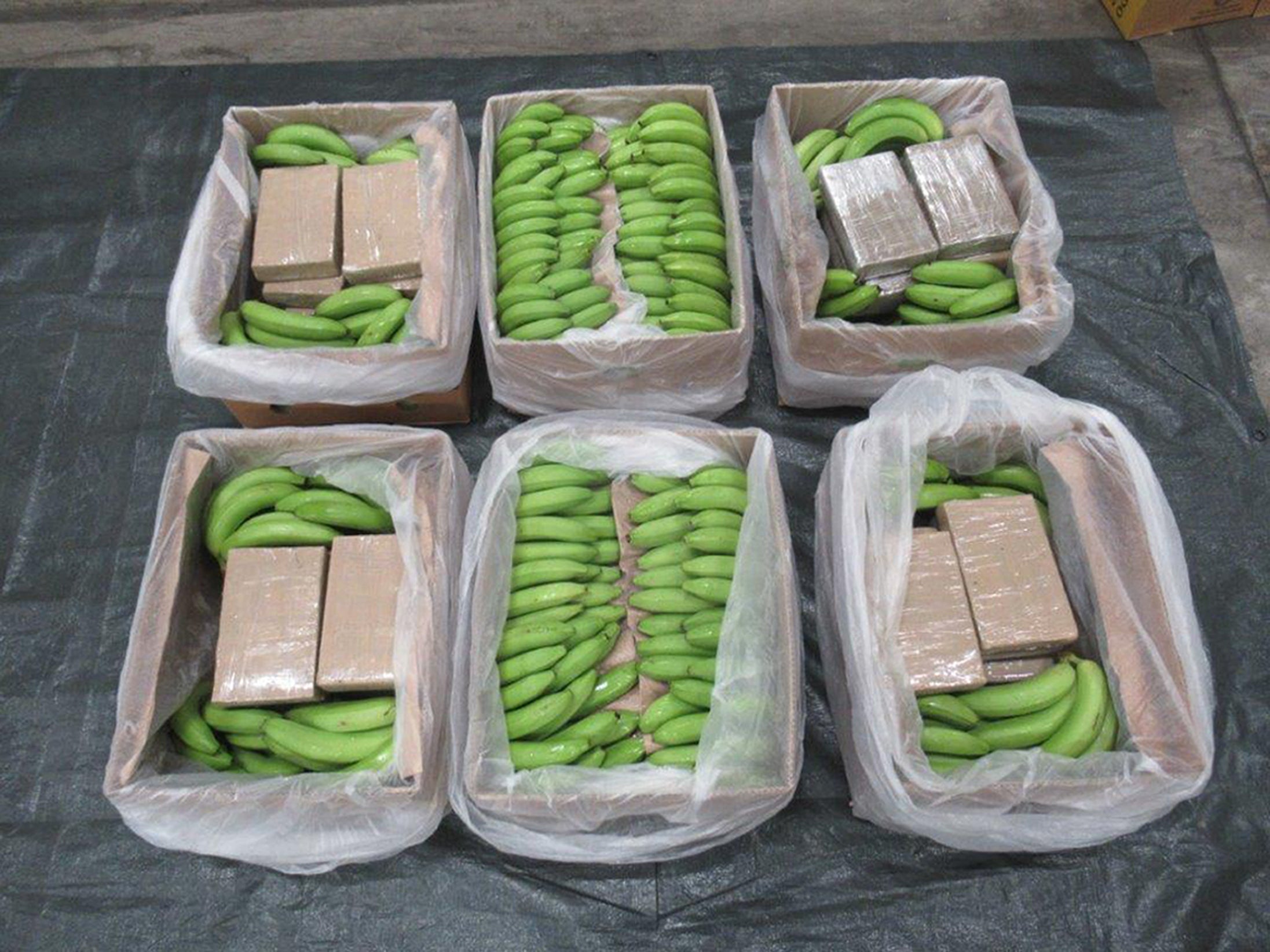 some of the largest ever haul of class A drugs, worth an estimated £450 million, has been seized in a load of bananas at Southampton Port