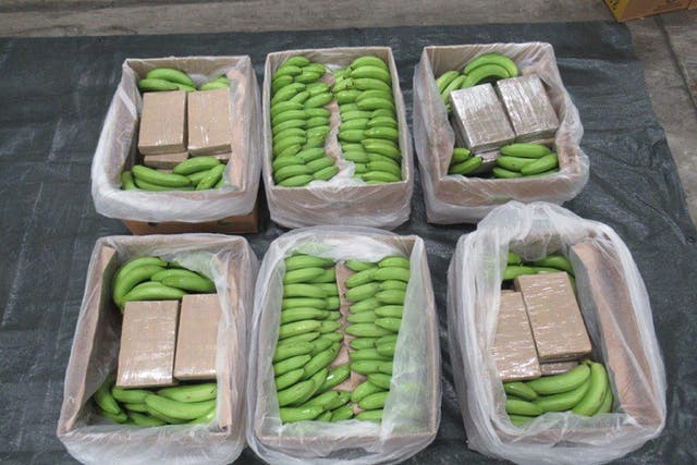 <p>The drugs were hidden among a stock of bananas </p>