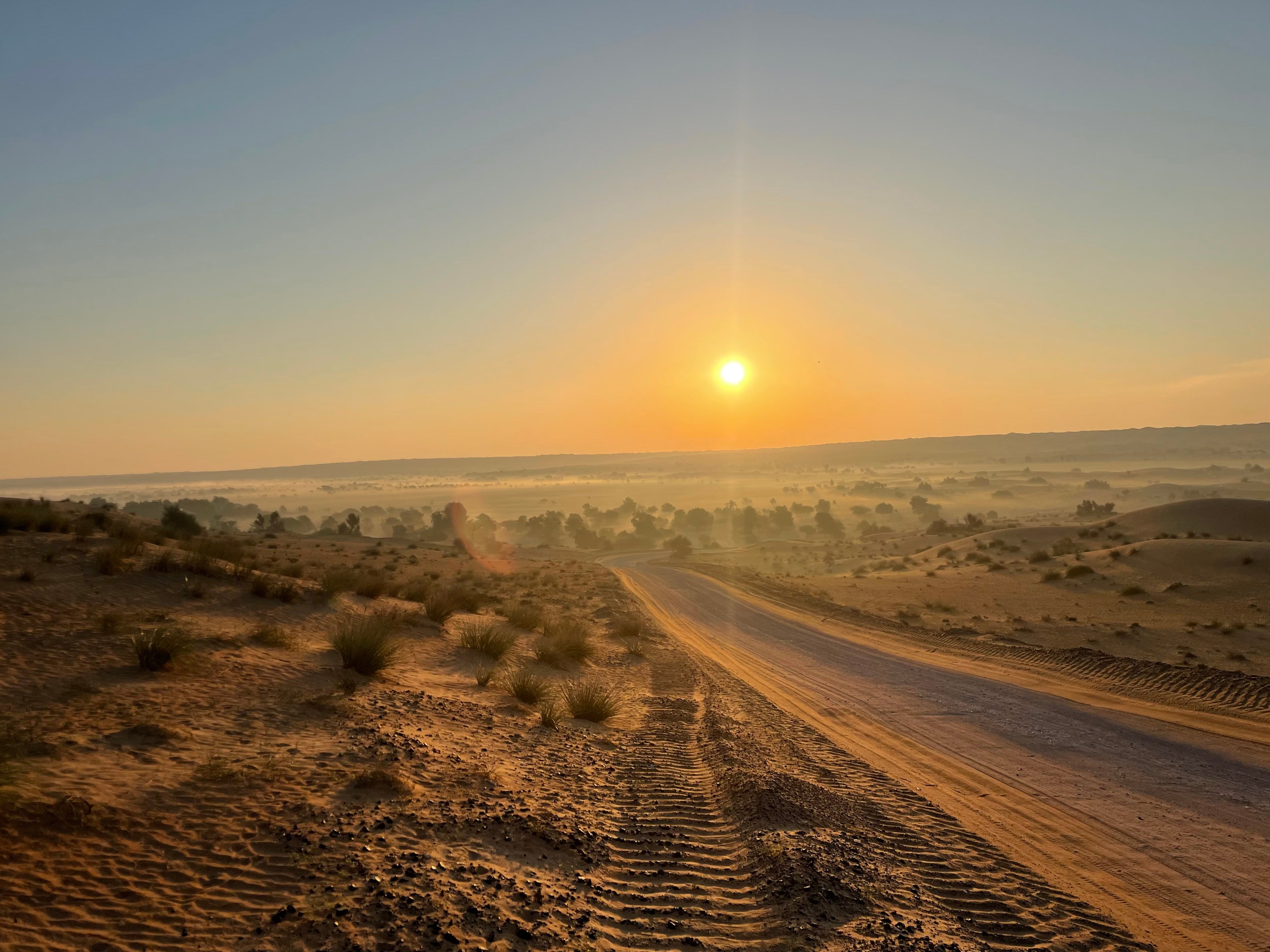 The Dubai Desert Conservation Reserve is a pristine patch of wilderness just outside the metropolis