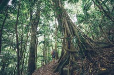 From reefs to rainforests: A nature-lover’s guide to Queensland