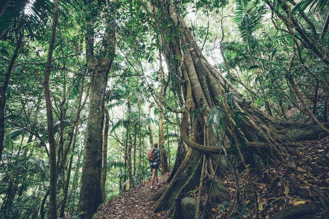 <p>Otherworldly natural beauty is part and parcel of any trip to Queensland if you know where to look</p>