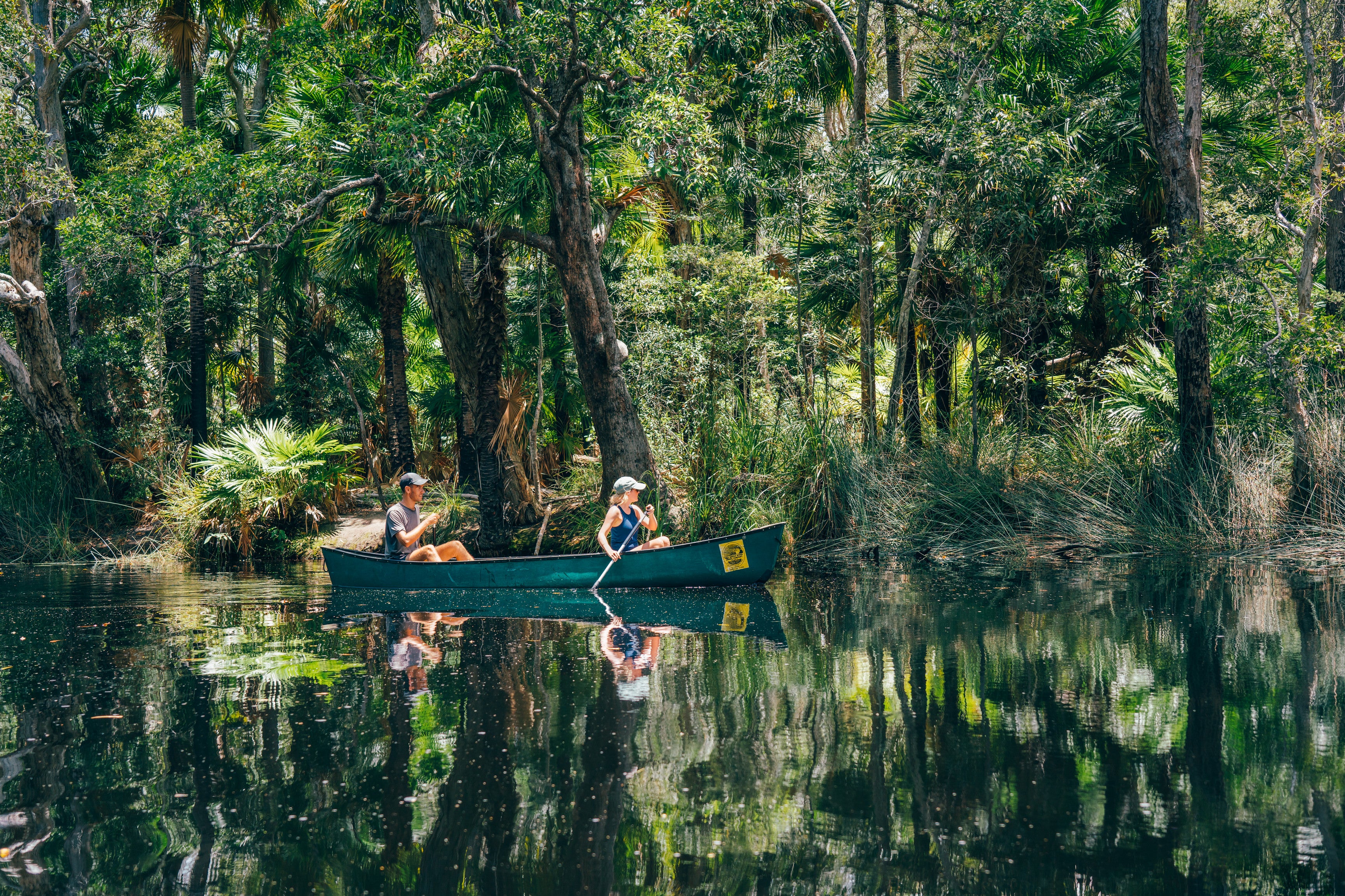 It’s not called the river of mirrors for nothing, and on a kayak or canoe you can view the waters of the Noosa Everglades in all its reflective glory