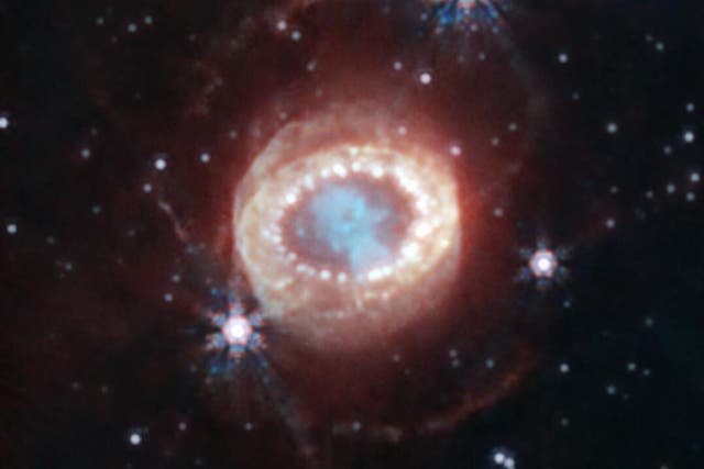 <p>ENTs are much less common than supernovae</p>
