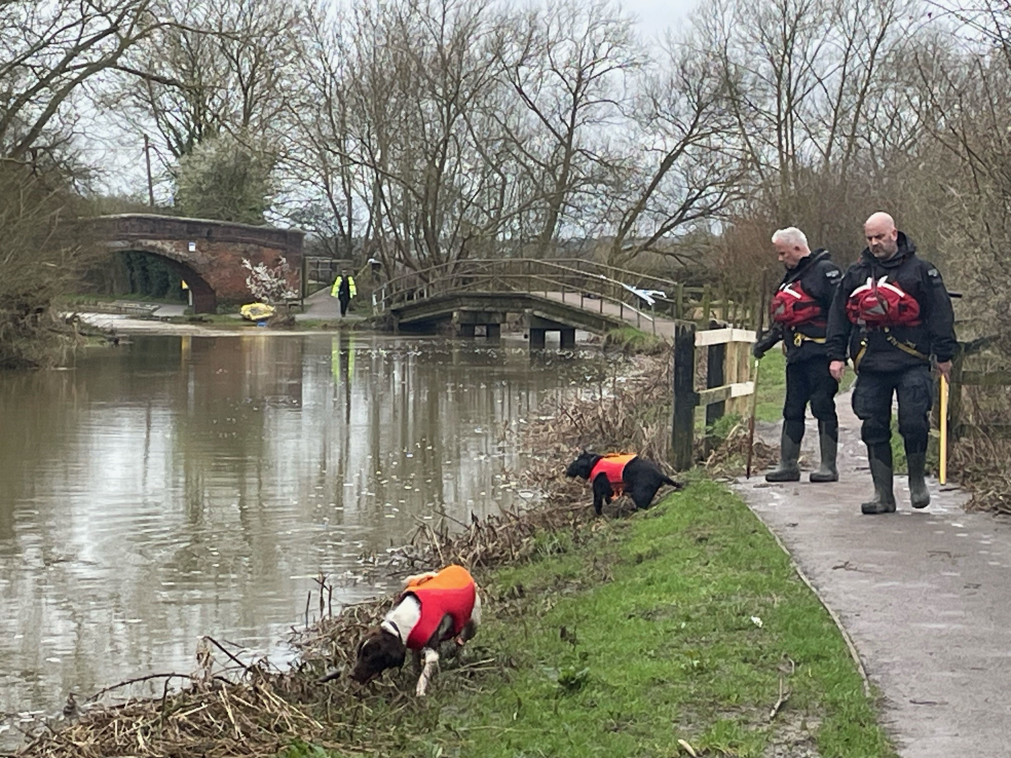 Dogs look for a sign of Xielo on the banks of a canal