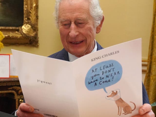 <p>The rundown of royal finances – from April 1 2023 to March 31 2024 – covers the months following the King and the Princess of Wales’s double cancer diagnosis</p>